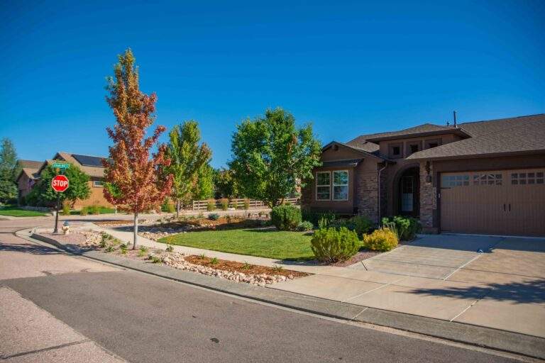 Xeriscaping next to house with rocks, mulch, plants and trees