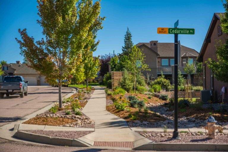 Xeriscaping next to sidewalk with rocks, mulch, plants and trees