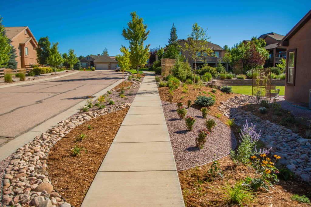 Xeriscaping next to sidewalk with rocks, mulch, plants and trees