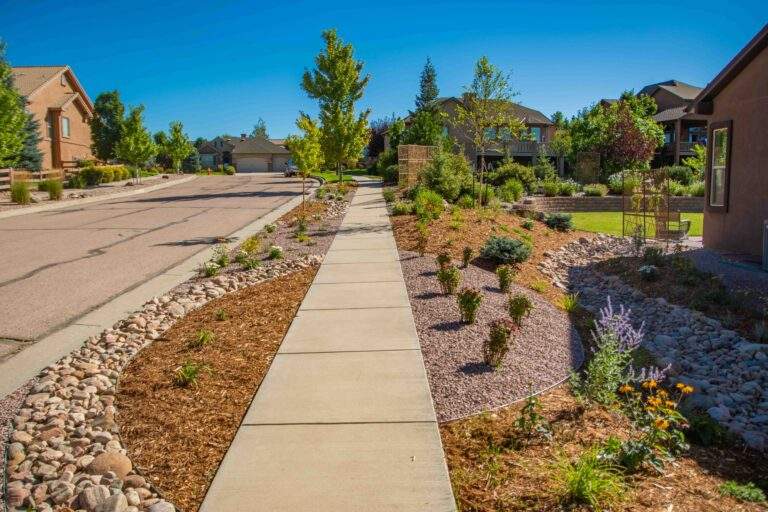 Xeriscaping next to sidewalk with rocks, mulch, plants and trees