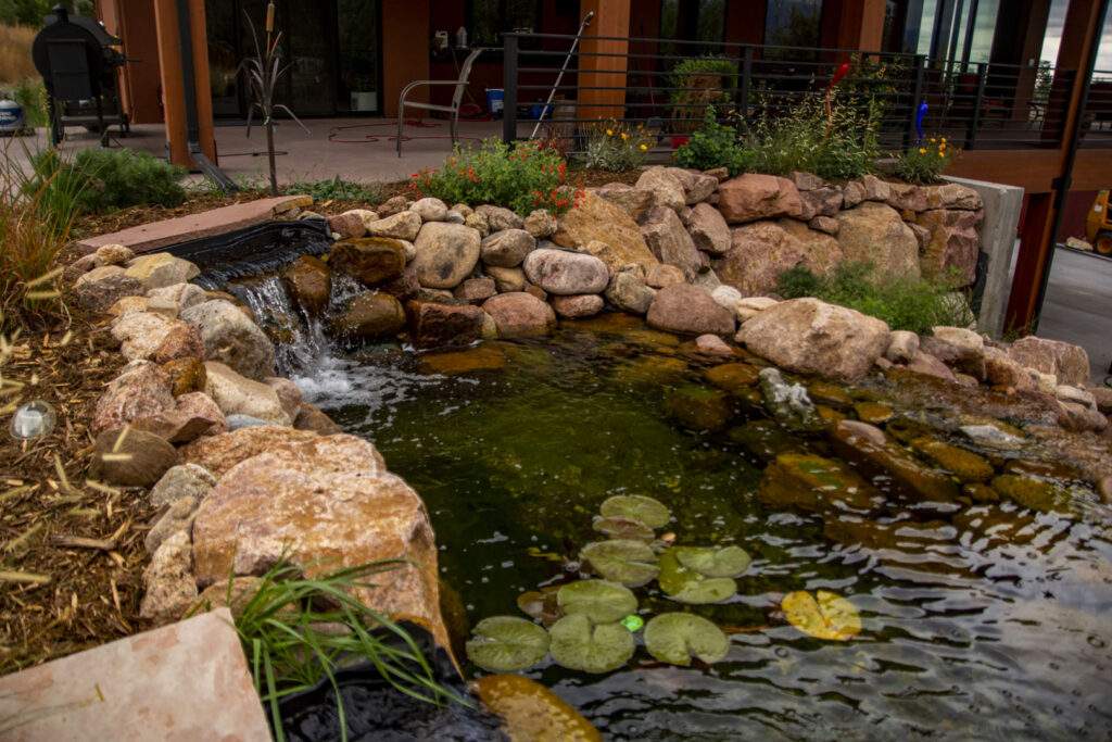 pond plants in a water feature surrounded by round river stone.