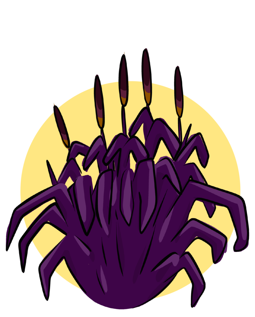 Illustration of purple millet ornamental grasses