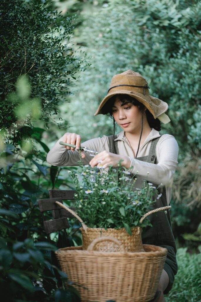 Photo of a person wearing a hat cutting flowers