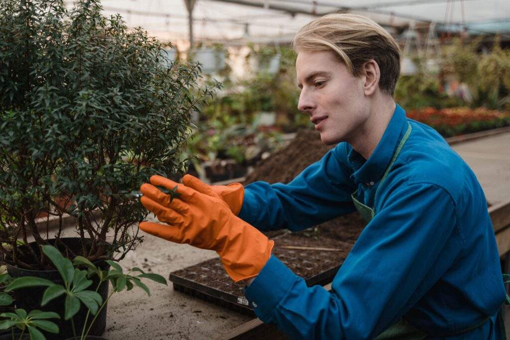 Photo of a person cutting plants