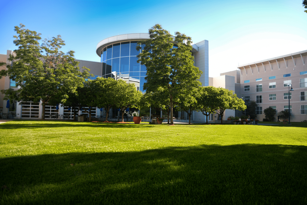 Olympic training center behind pruned trees and green, manicured lawn