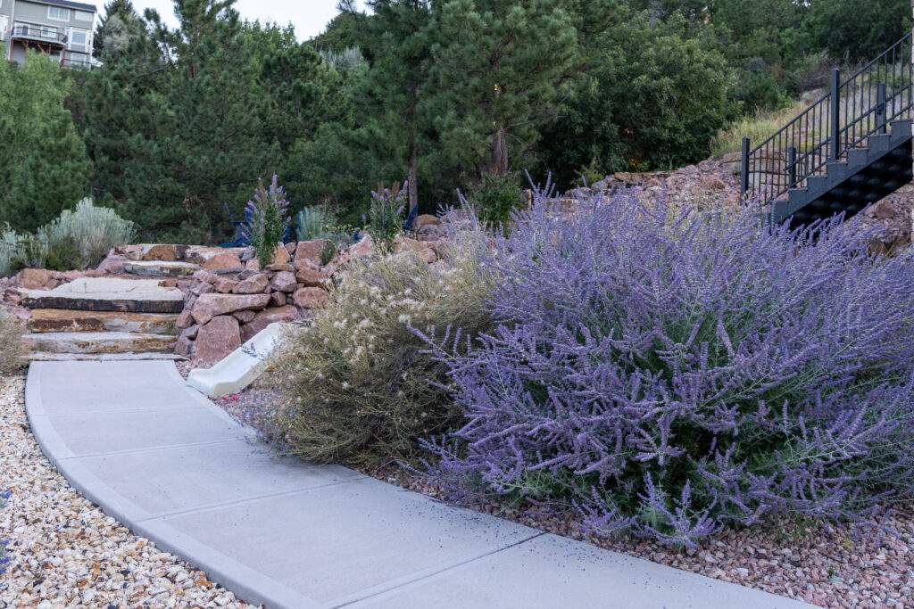 Landscaped backyard