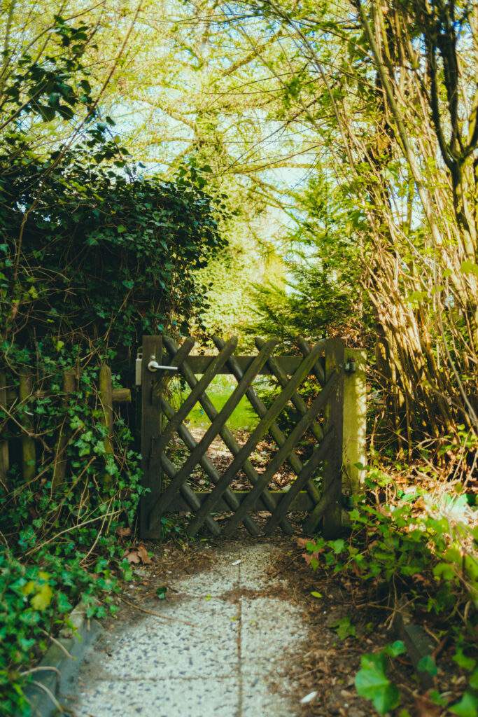 Old wooden gate to the garden. overgrown shrubs and trees.