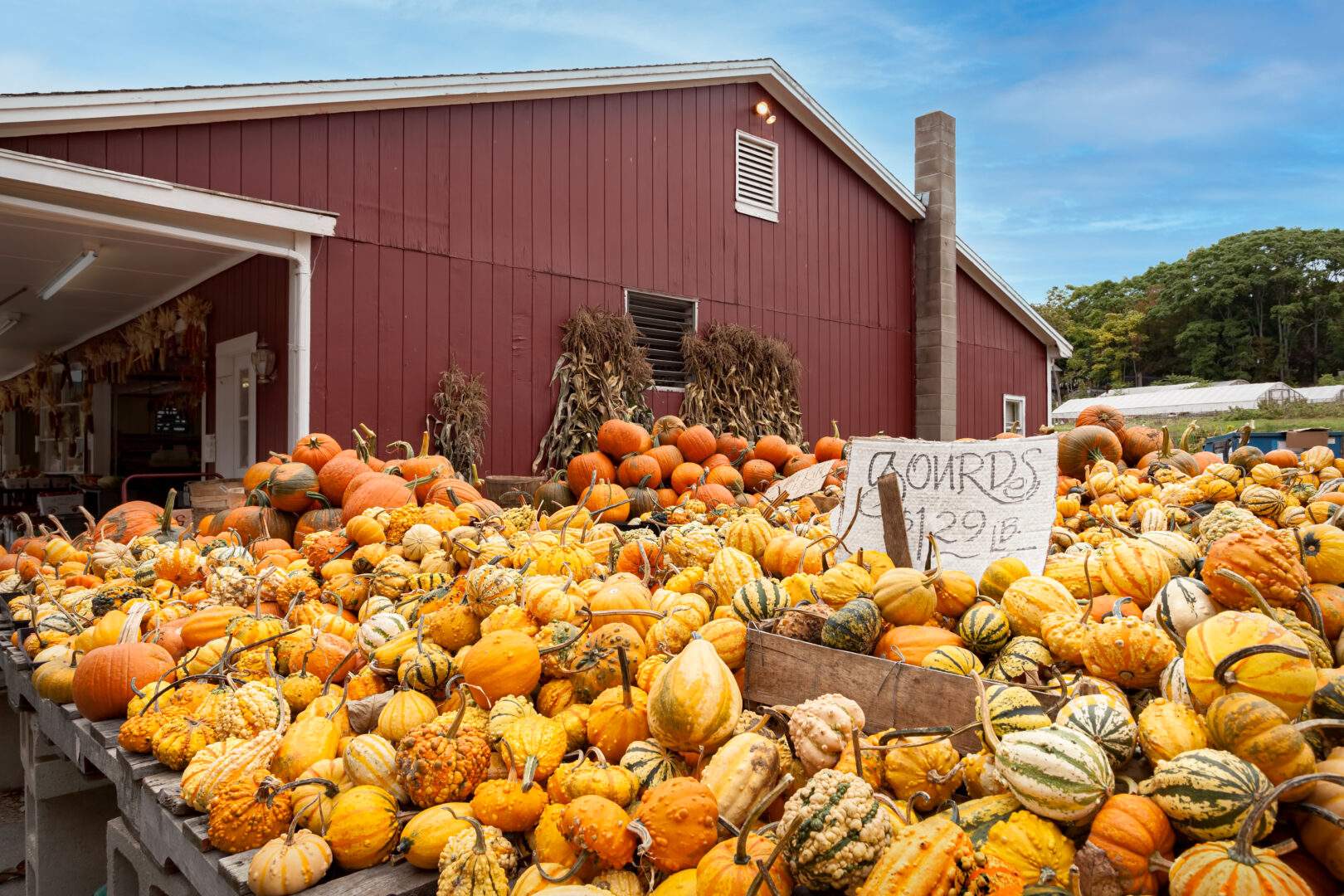 Keep It Colorado Local. Local farm to get pumpkins and other fall events