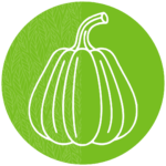 Where to grow gourds