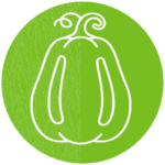 How to Care for Gourds