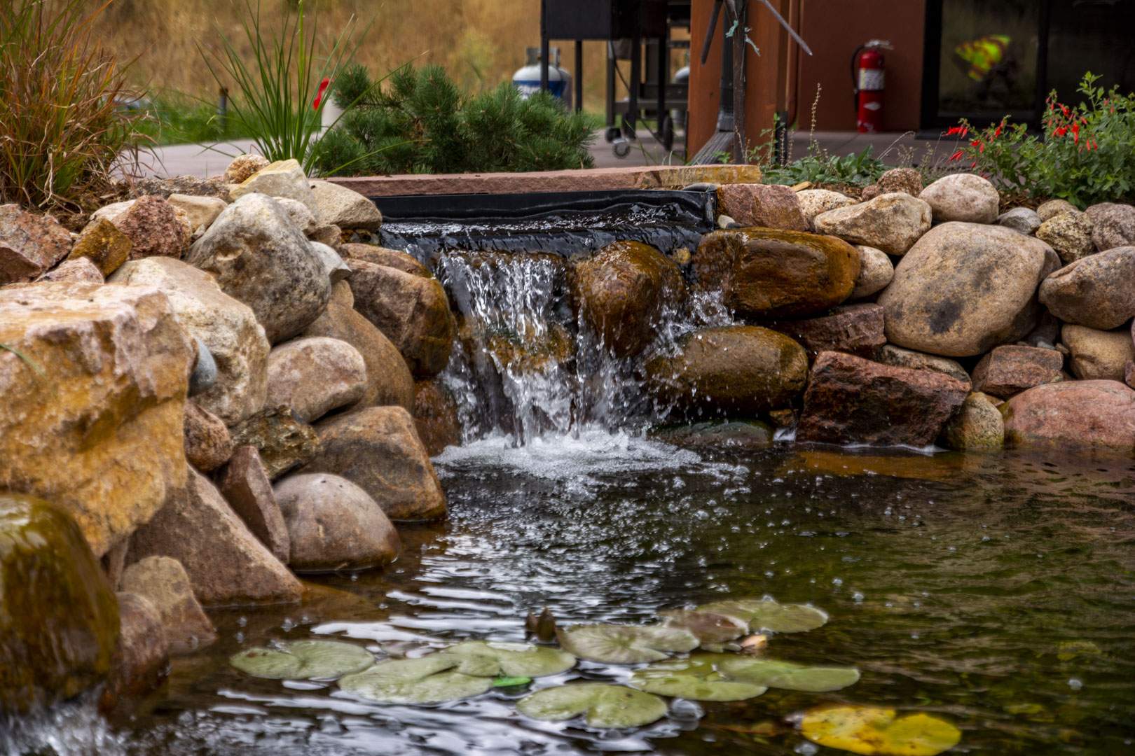 water feature in a landscape with lily pads