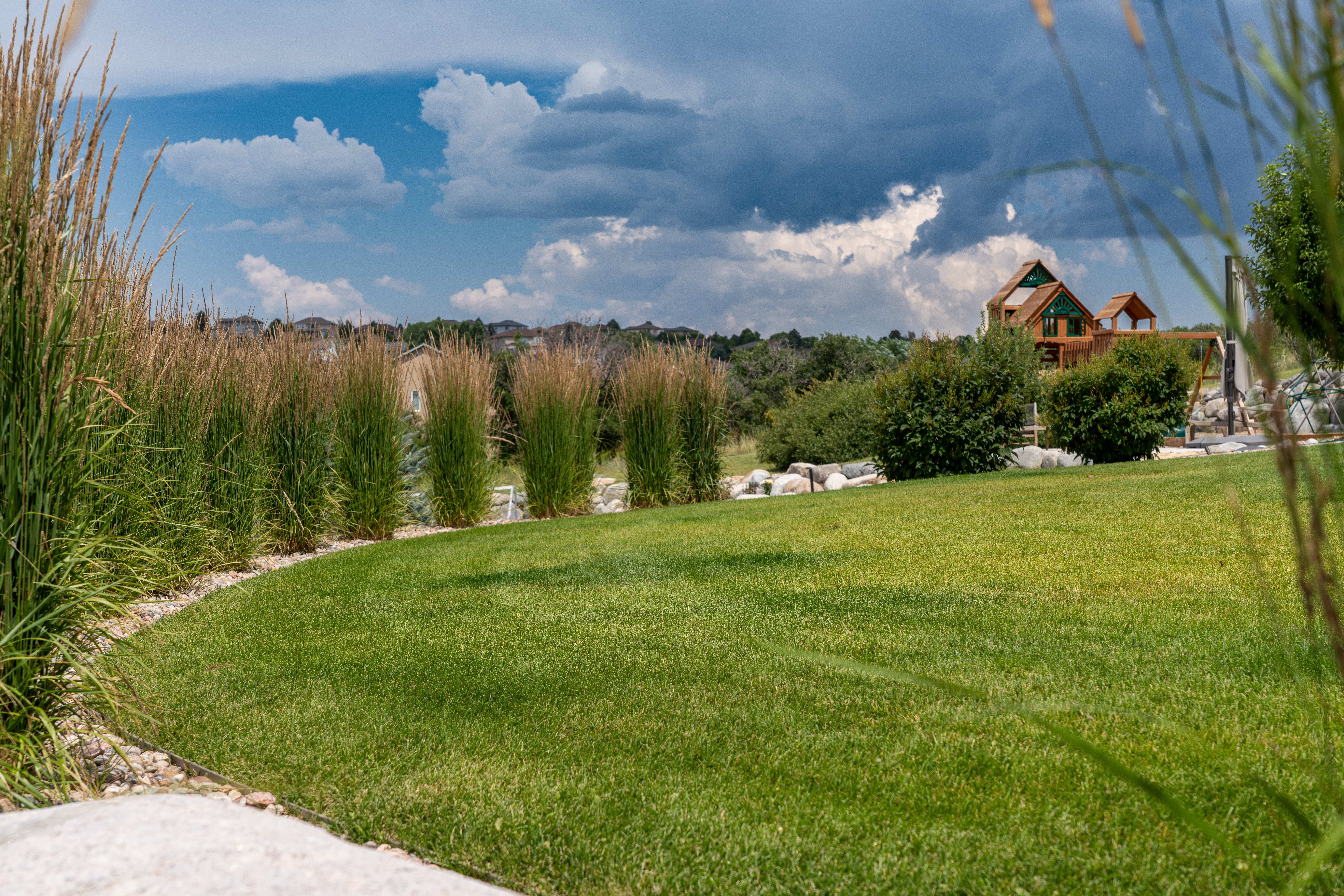Curved green lawn bordered by ornamental grasses and stone edging, with shrubs, a wooden play structure in the distance, and dramatic storm clouds gathering over a landscaped backyard.