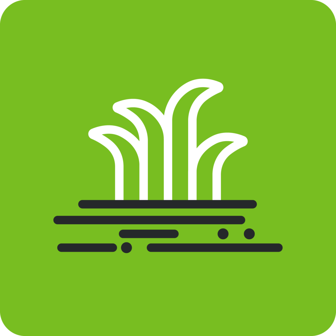 Residential lawn care icon