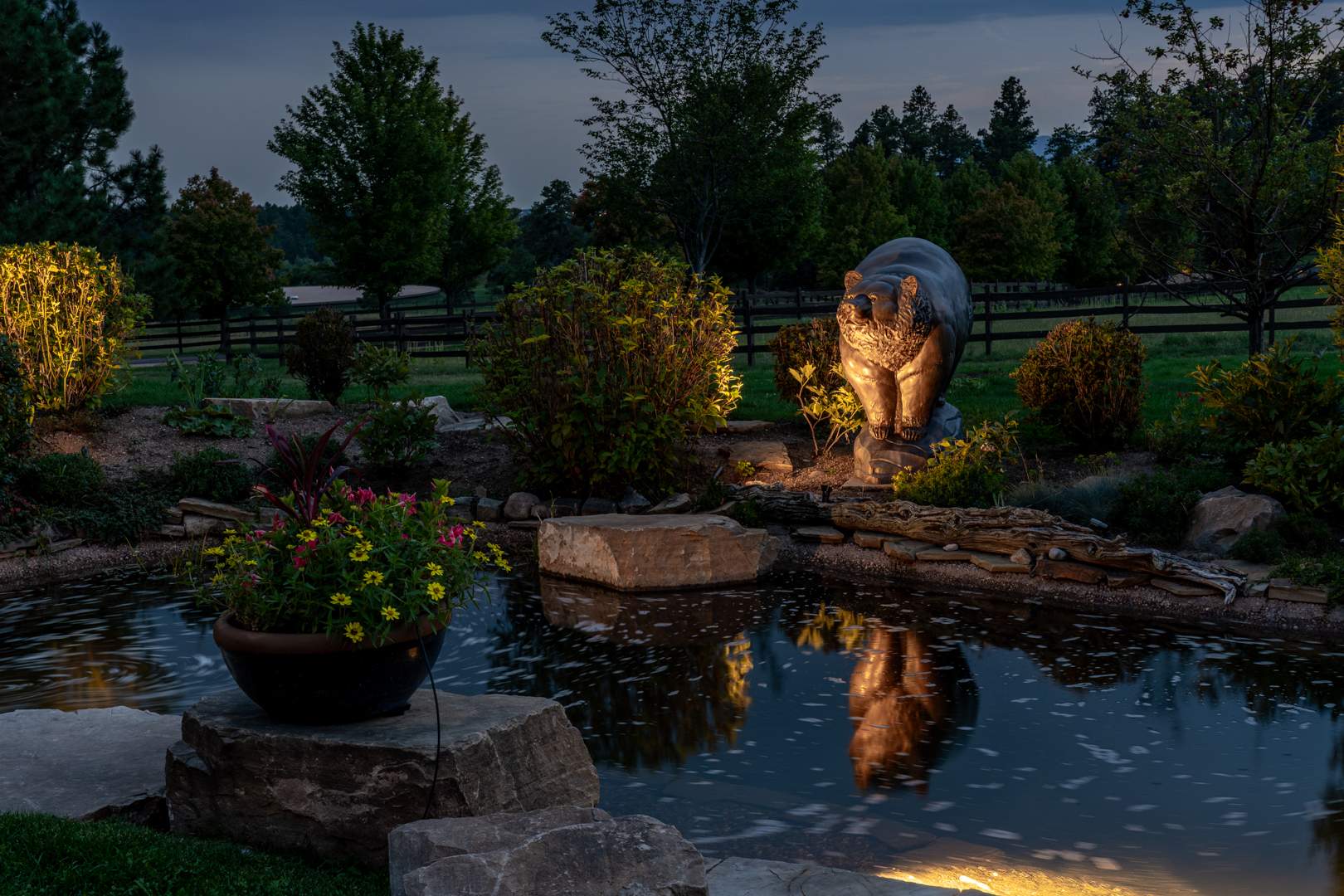 Bronze Bear Statue Lit up at night