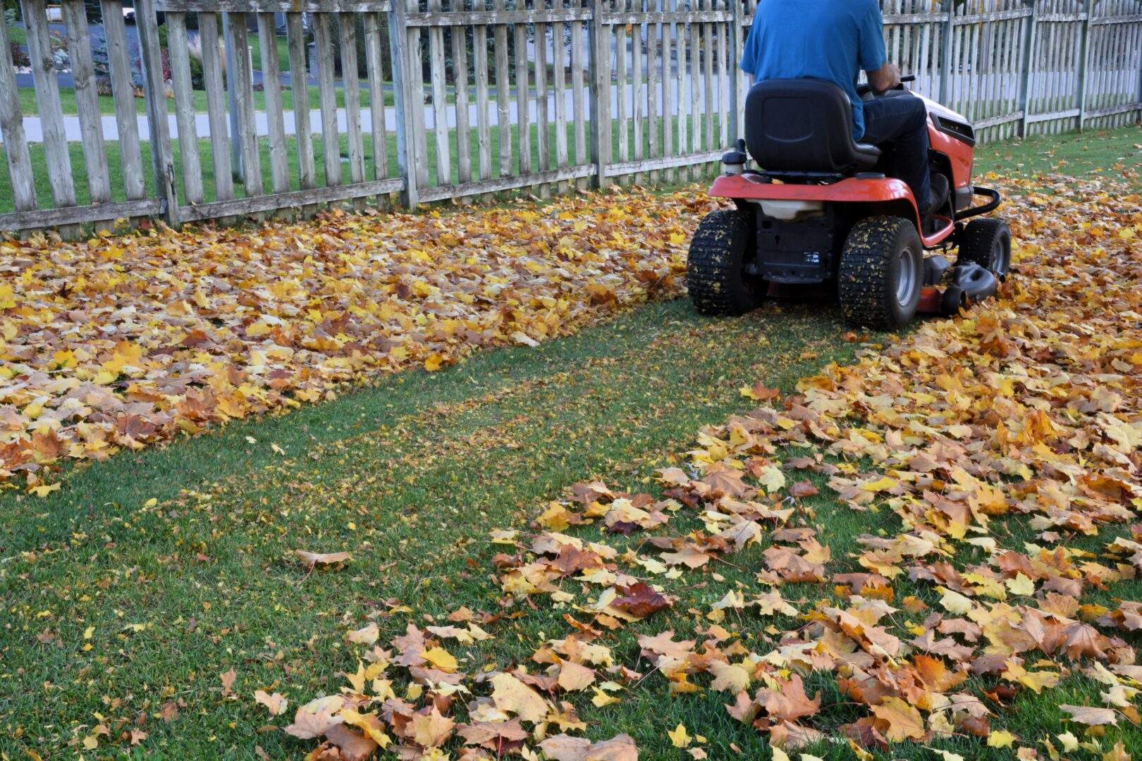 Fall Lawn Mowing
