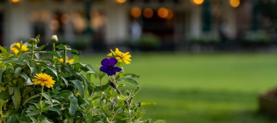 LM150 Rankings - Timberline Landscaping #125