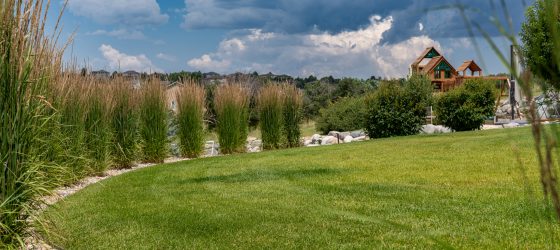 Curved green lawn bordered by ornamental grasses and stone edging, with shrubs, a wooden play structure in the distance, and dramatic storm clouds gathering over a landscaped backyard.