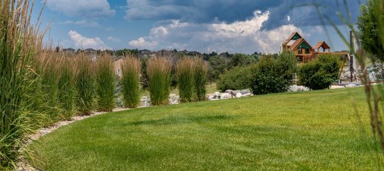 grassy play areas
