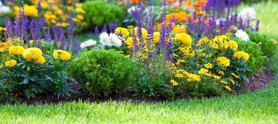 prepare your landscape for spring - multicolored flowerbed on a lawn. horizontal shot. small GRIP