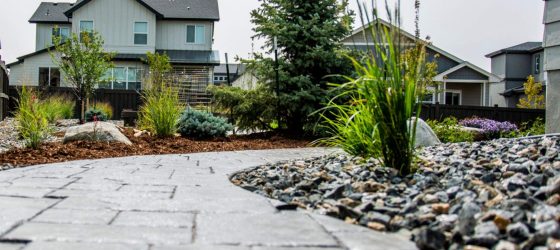 Landscape Pathway